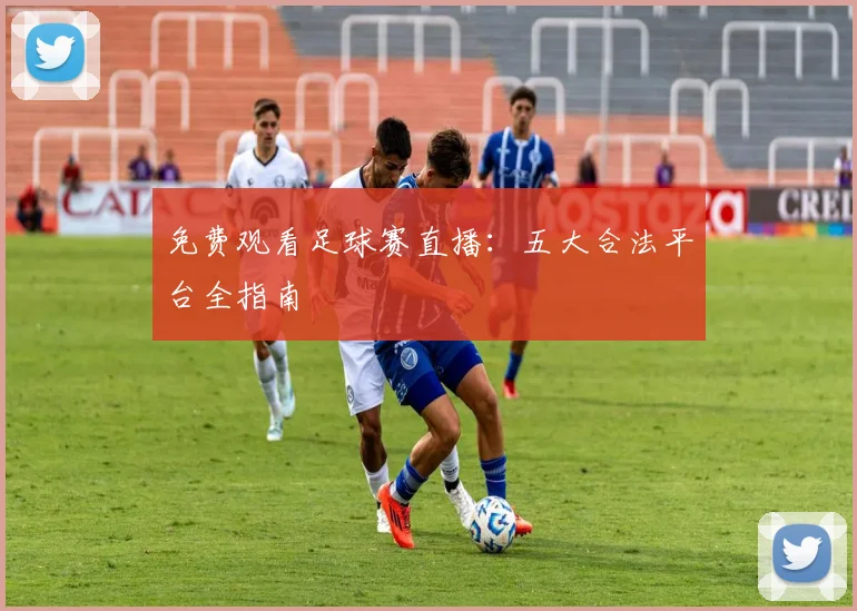 免费观看足球赛直播：五大合法平台全指南