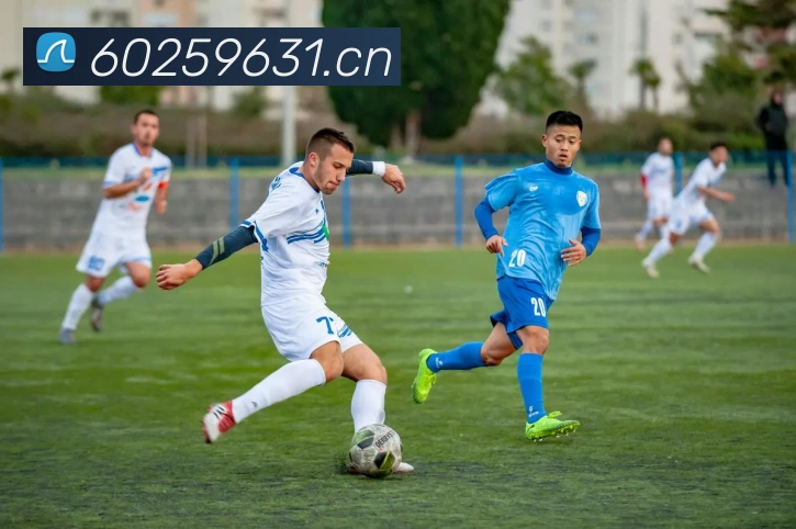 多媒体互动体验